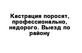 Кастрация поросят, профессионально, недорого. Выезд по району